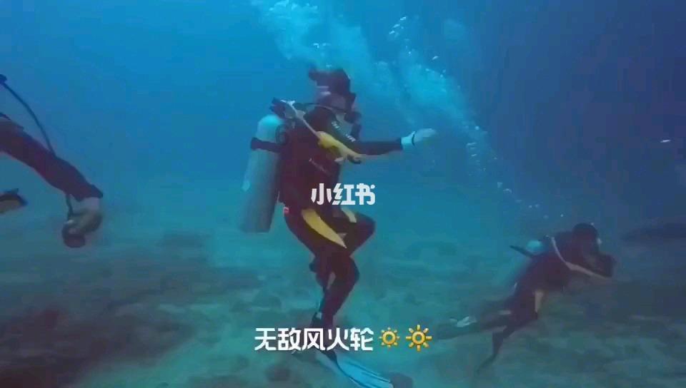 苍南大动作！摘掉5573块牌子